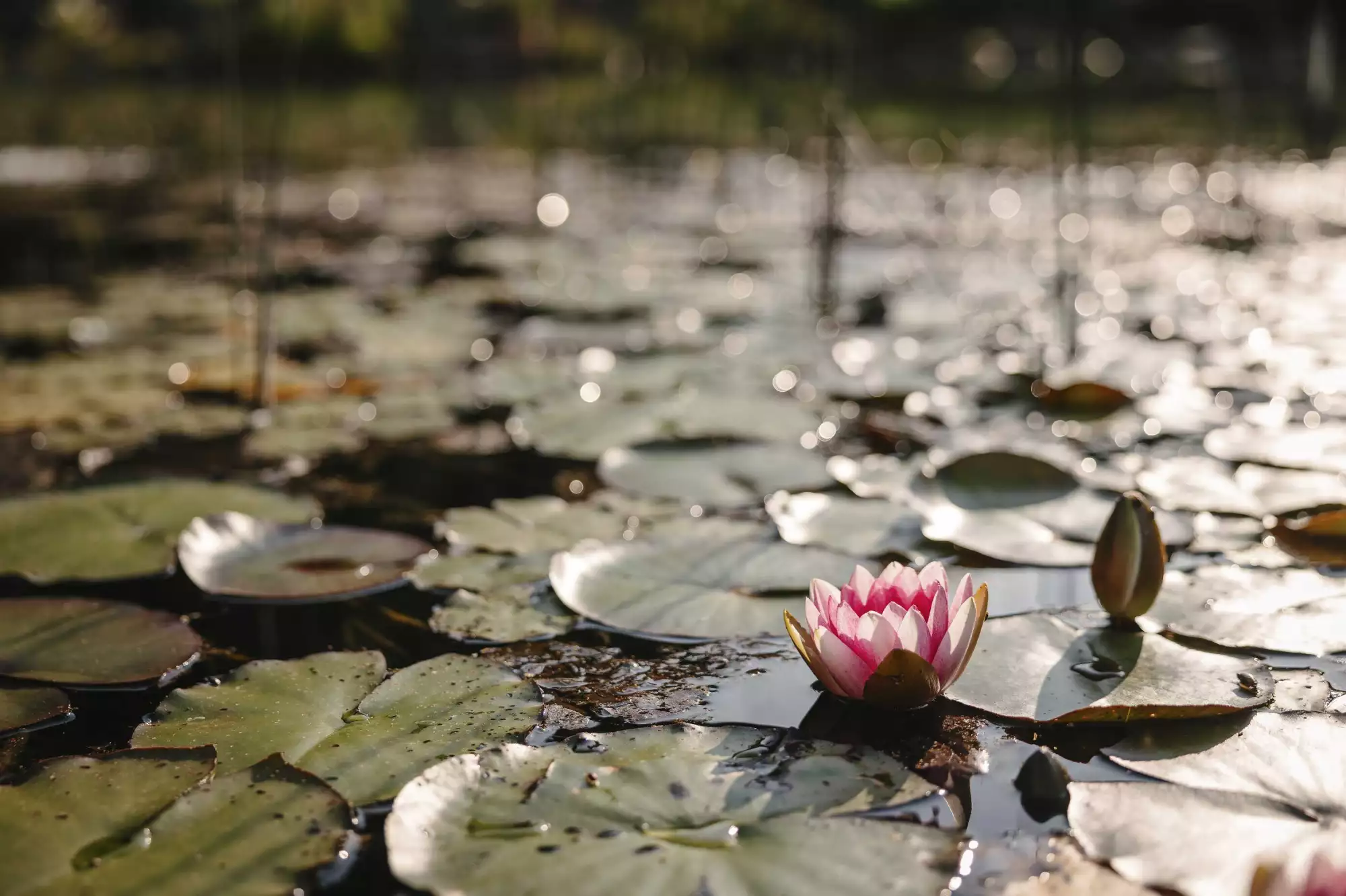 Nachhaltigkeit in der Vitalquelle Montafon